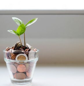 Save Money and Grow rich