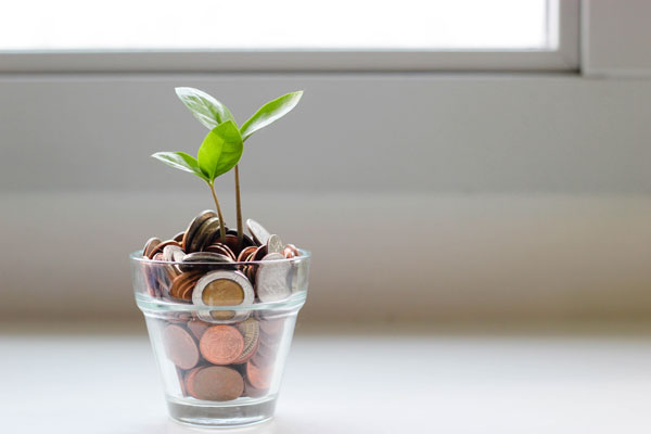 Save Money and Grow rich